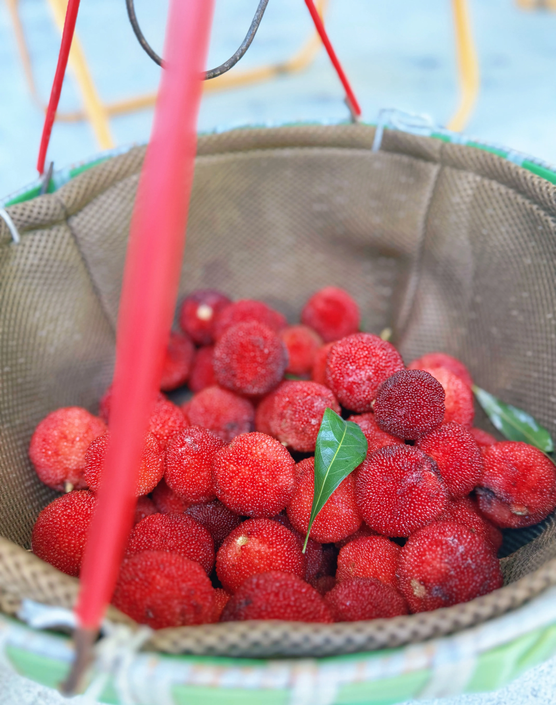 最后一天的品质已经很差